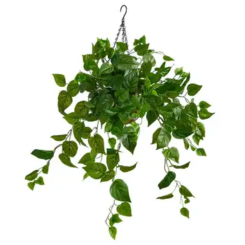 2,5-дюймовое искусственное растение филодендрон в подвесной корзине